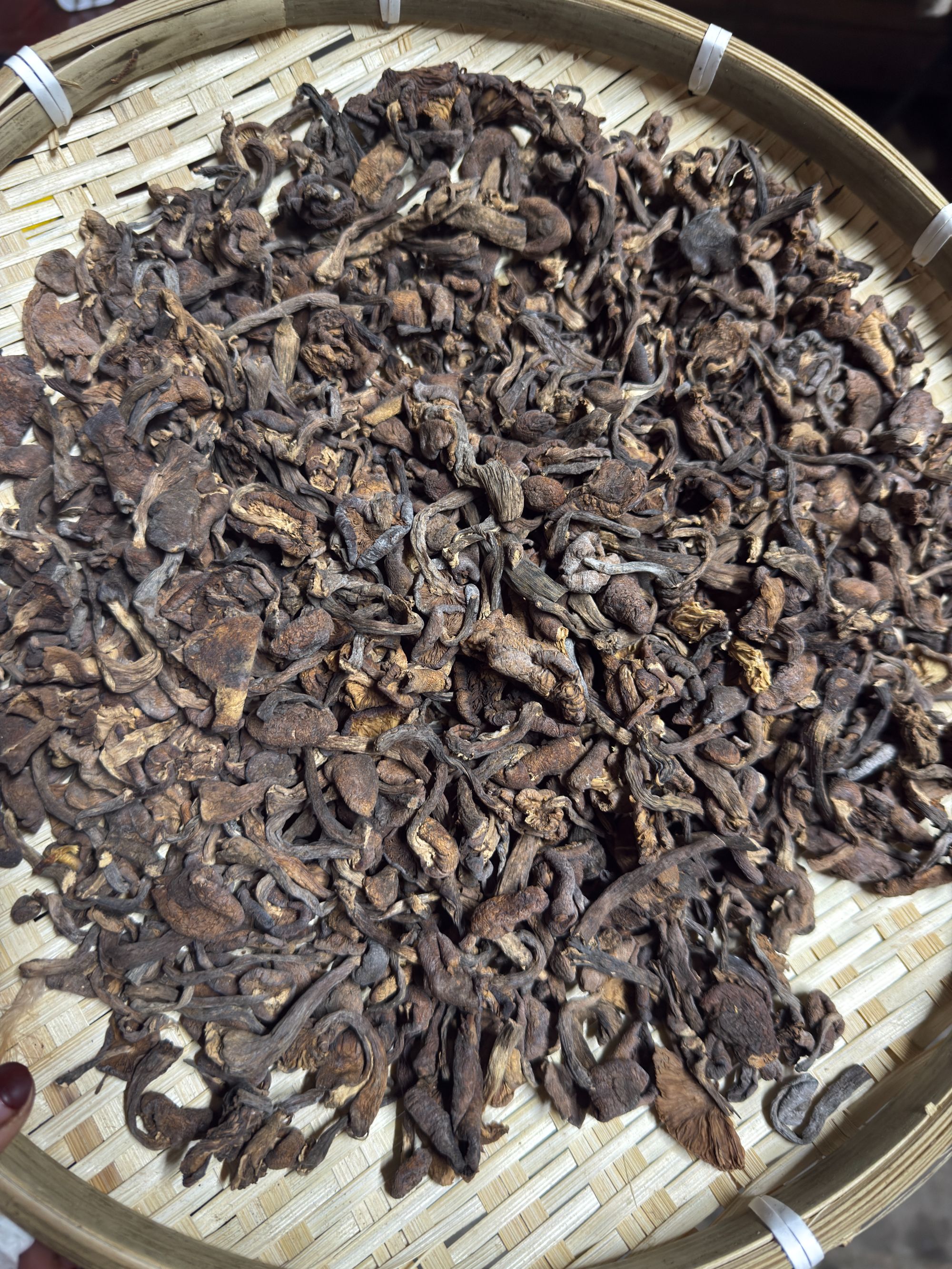 东北特产野生榛蘑