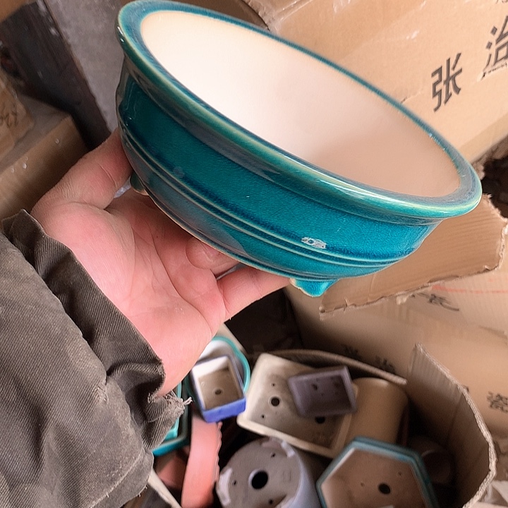 紫砂哈哈真的是太给力太