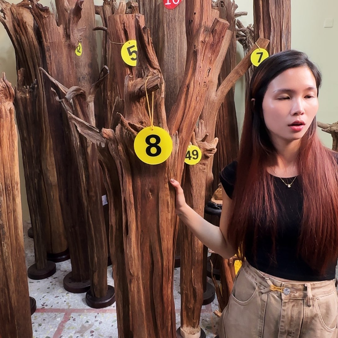 用***0沉香沉香碎屑天然沉香原材料香料熏料