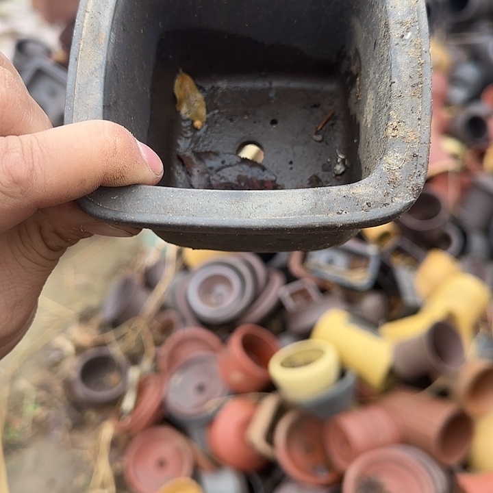 一次也不能多打个两分钟呀不就够咯