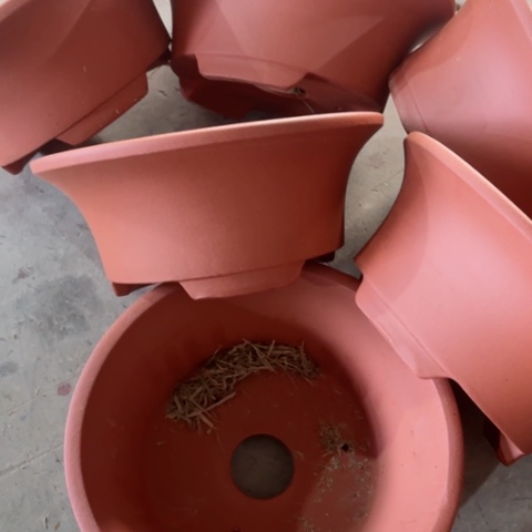 紫砂花盆100-7。26.5-11