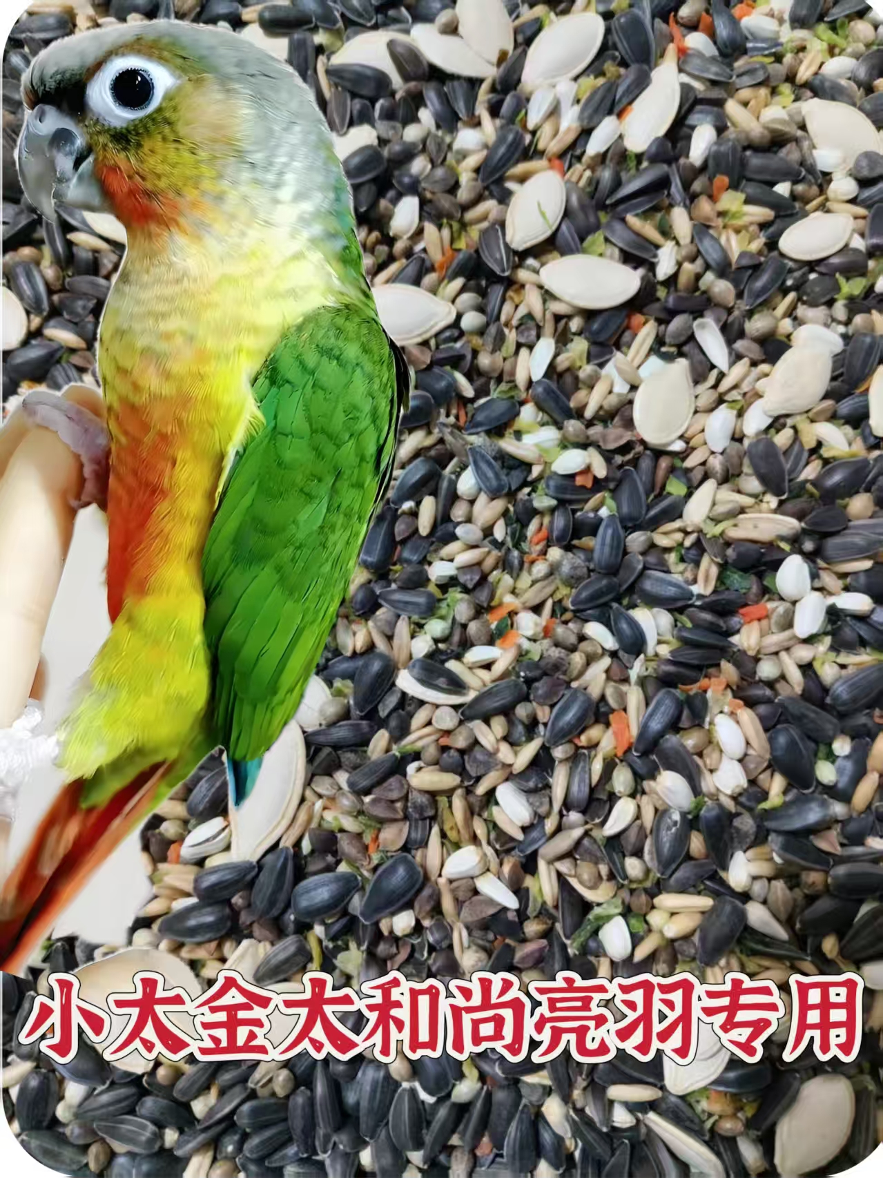 小太阳金太阳和尚专用羽毛亮泽配方鹦鹉粮食