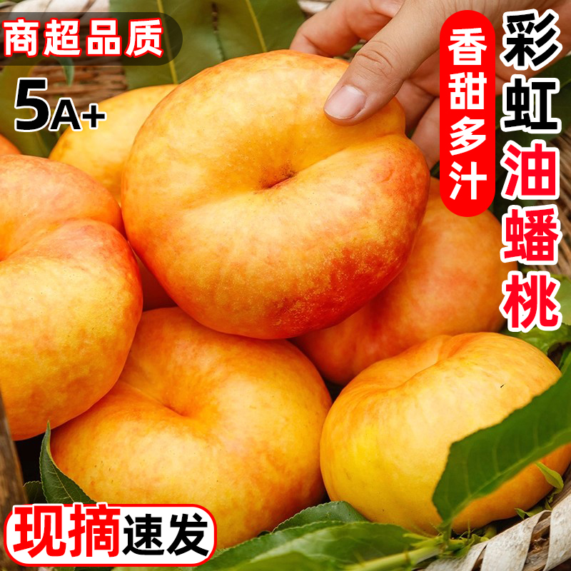 彩虹油蟠桃黄肉扁桃子新鲜水果黄盘黄金奶油甜蜜桃整箱
