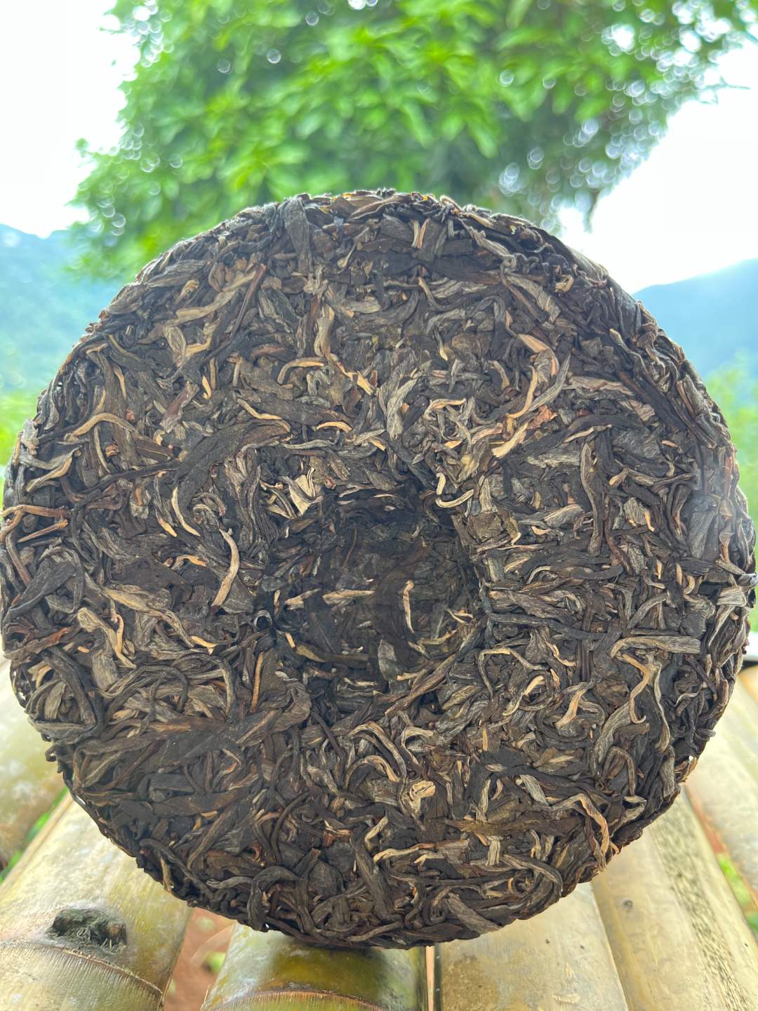 2025年 易武正山古树头春饼茶 200克