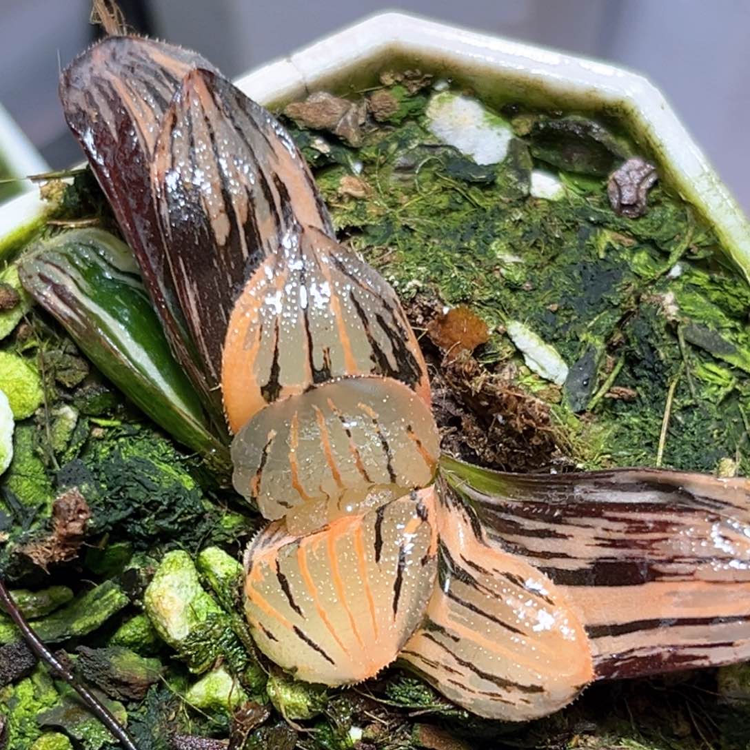 恭喜发财大吉大利322