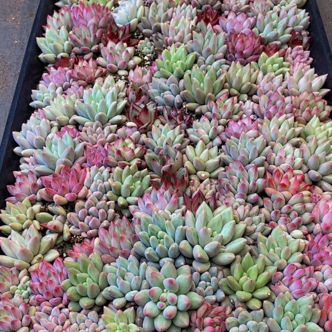 我****！773的人生态度是一种