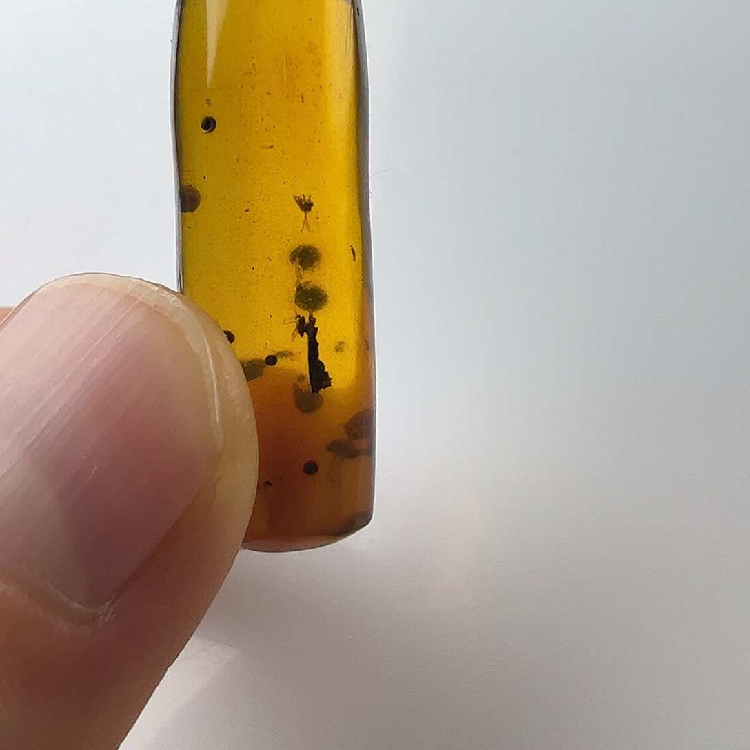 琥珀裸石未镶嵌琥珀虫珀