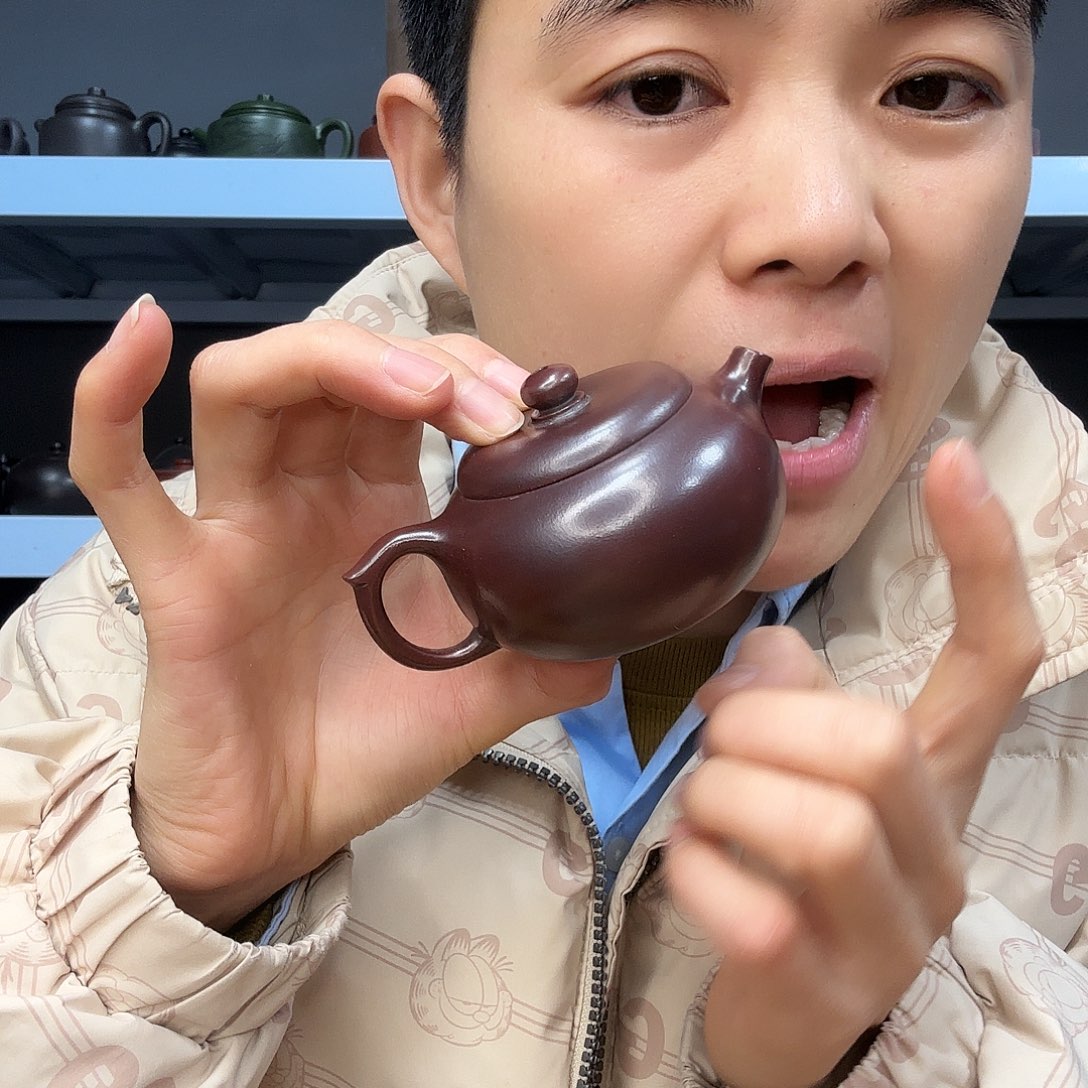 紫砂茶壶民间手艺人全手工制作