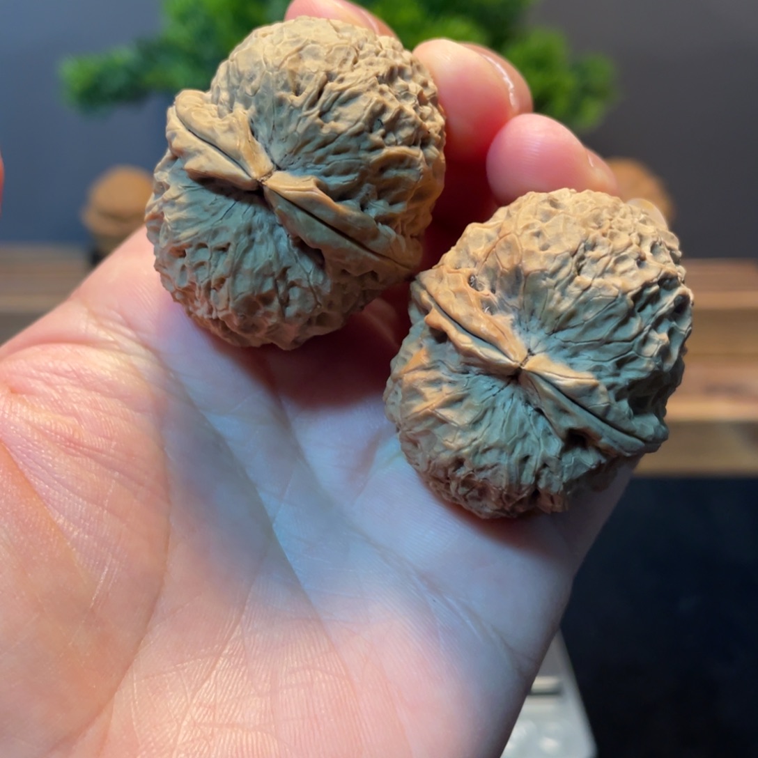 文玩核桃把件云南铁13