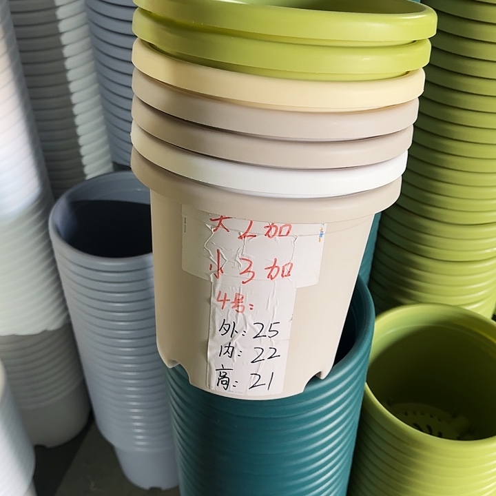 四季4#口径25灰白10个无托