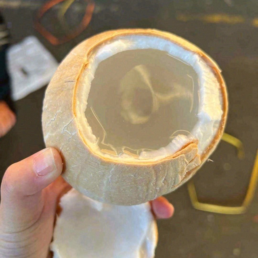 【果真不错】奶香椰皇 约450克/个 天然饮品椰汁 武汉小时达