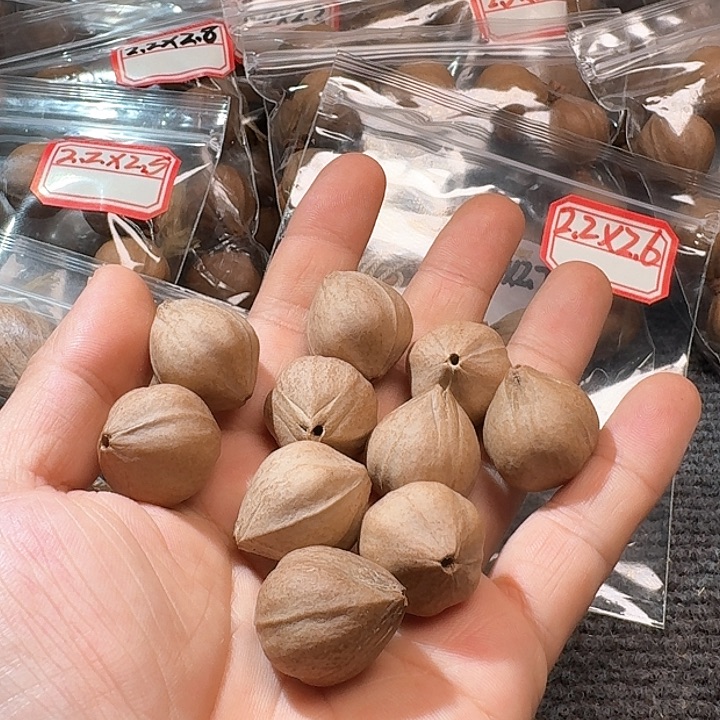 吊坠橄榄核2.2❌2.6
