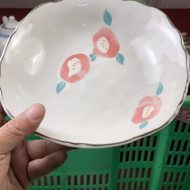 碟开播了开播了开播了