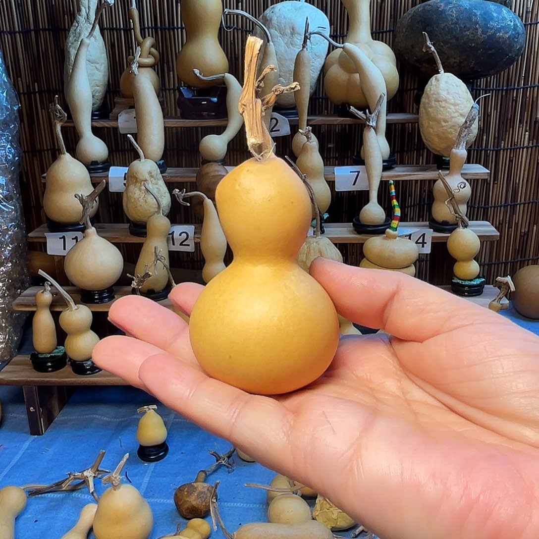 和尚头财宝9.9米包邮到家