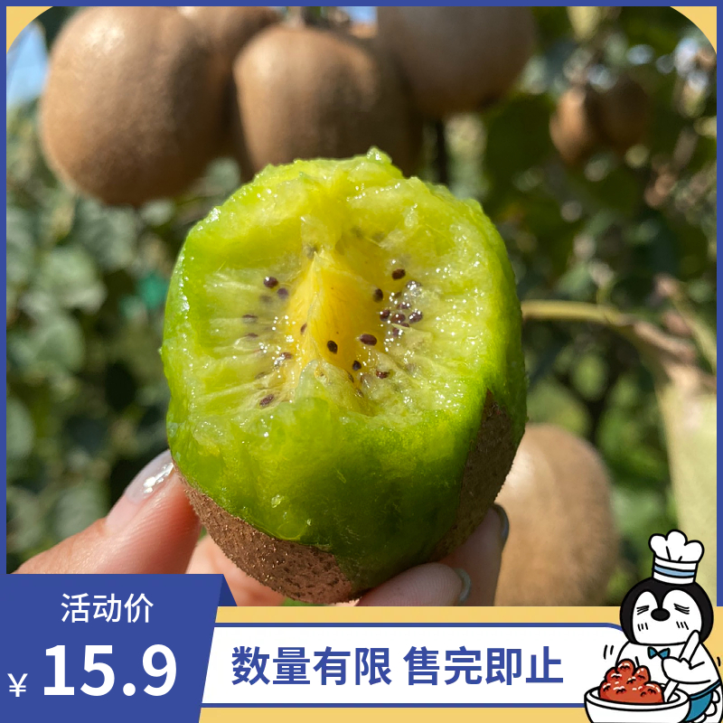 徐香猕猴桃正宗陕西猕猴桃30枚24枚20枚12枚产地果园现摘直发