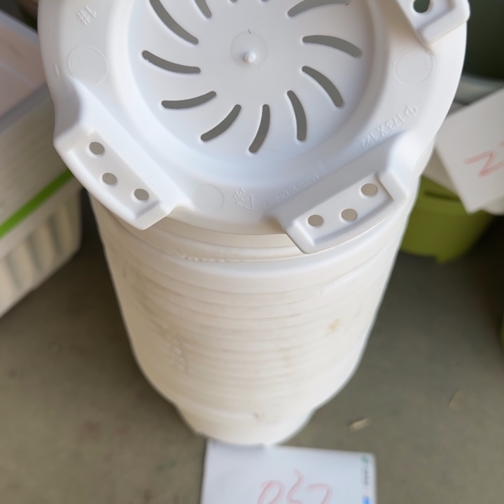 编号是037号的037号的花盆