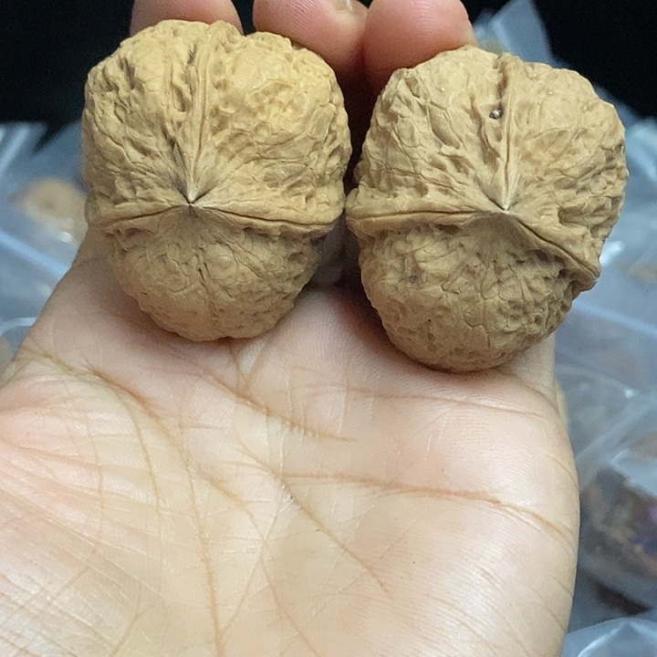 把件文玩核桃云南铁核桃基地44