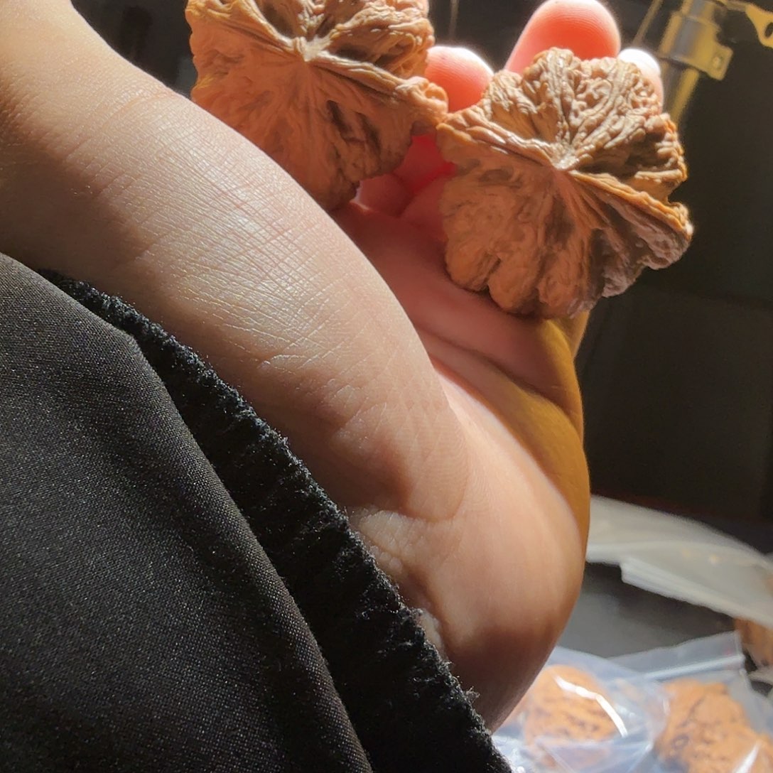 文玩核桃把件粗筋