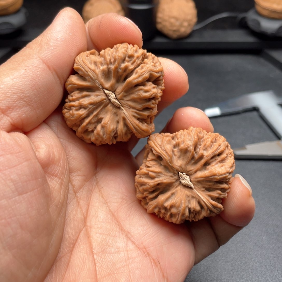 文玩核桃把件抖*棋南疆石