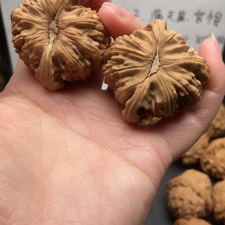 好***梦大大大大大狮子黄色差兜边歪