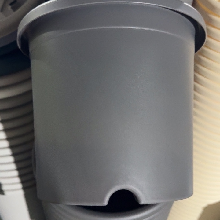 四季5号灰黑无托10个特价微瑕