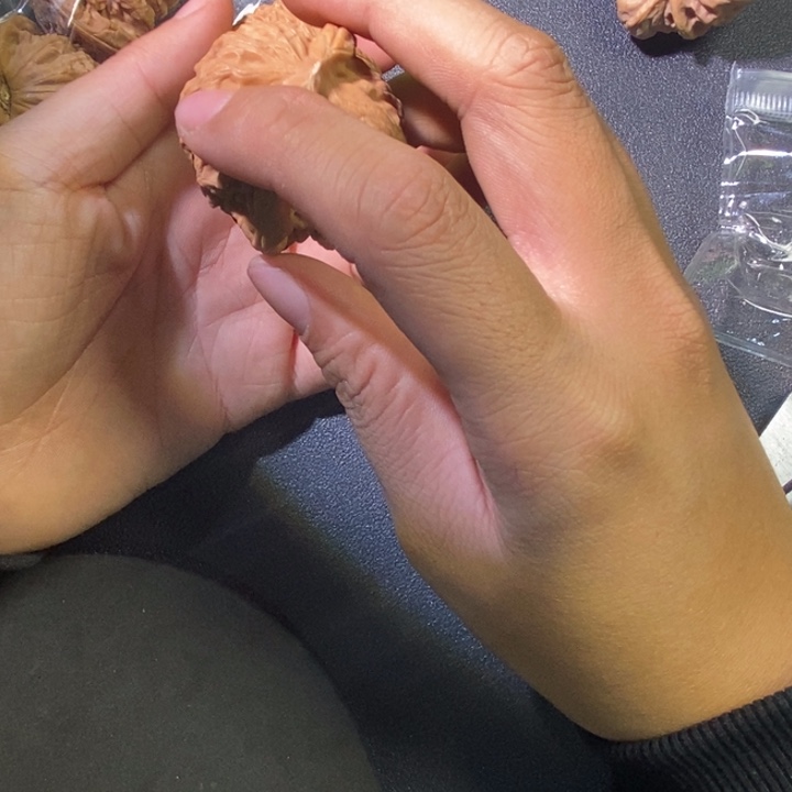 白狮子喜欢拍11111111111