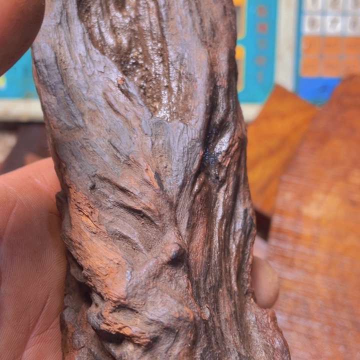 长****）海南红花里零零零零零