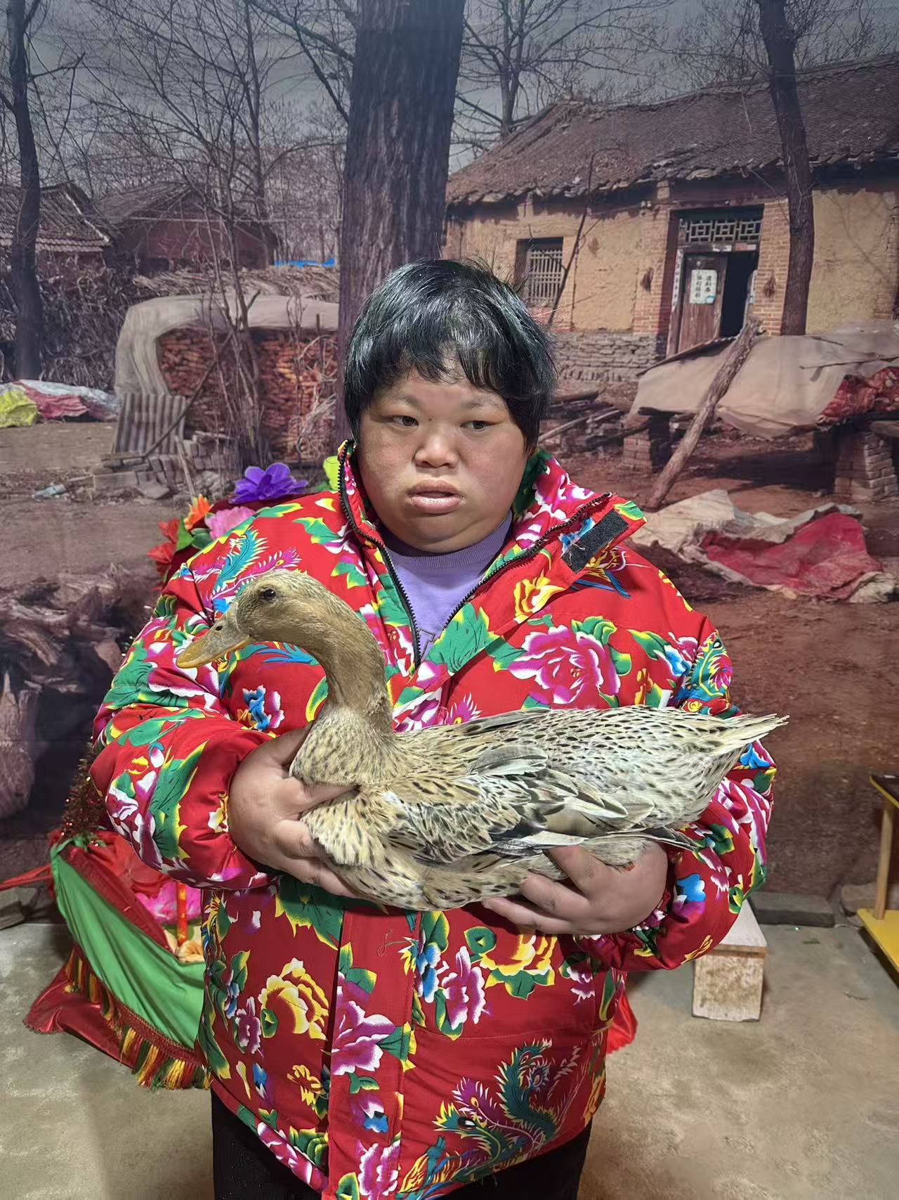 山林散养母鸭新鲜农产品