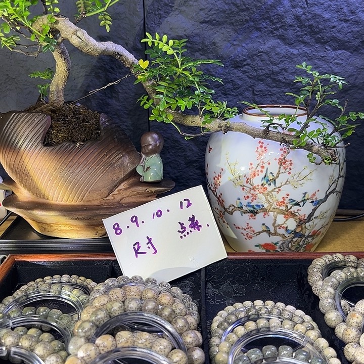 鈊***手串星月菩提海南原生态