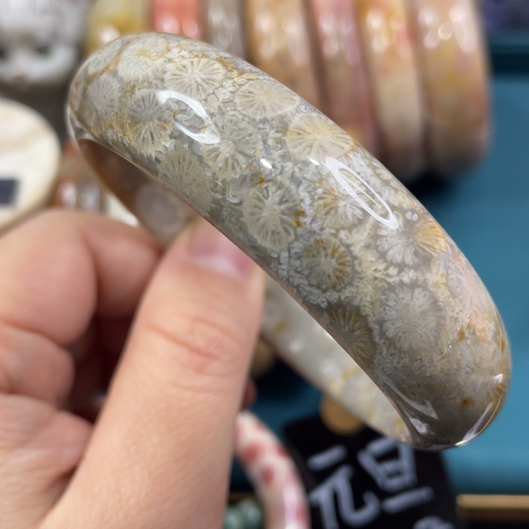 未镶嵌手镯硅化玉