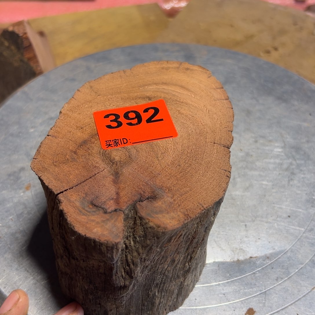 大果紫檀（缅甸花梨）