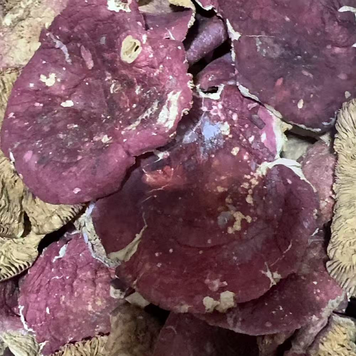 福利款河南菇菇帽(运输途中有碎片正常)野生正宗500g煲汤煮卤面