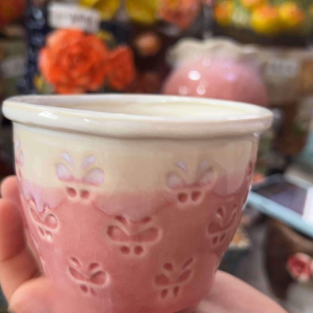 满20飞花盆爱退款拉黑