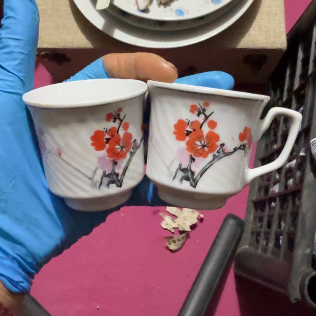 顺***…杂色豆（科檀/科特迪瓦檀木）