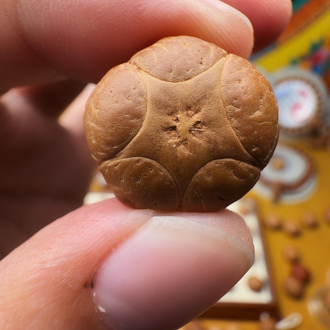 P***k20+五星，一物一图