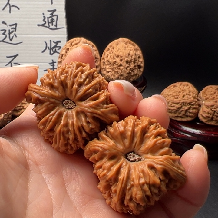 ?****?12号蚂蚁拉丝酒杯底