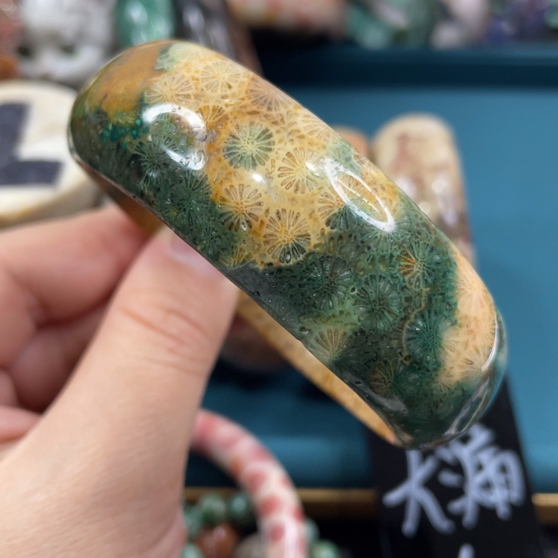 未镶嵌手镯硅化玉