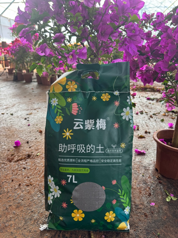 三角梅专用土（云紫梅）