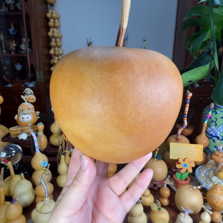 福福超大苹果型葫芦