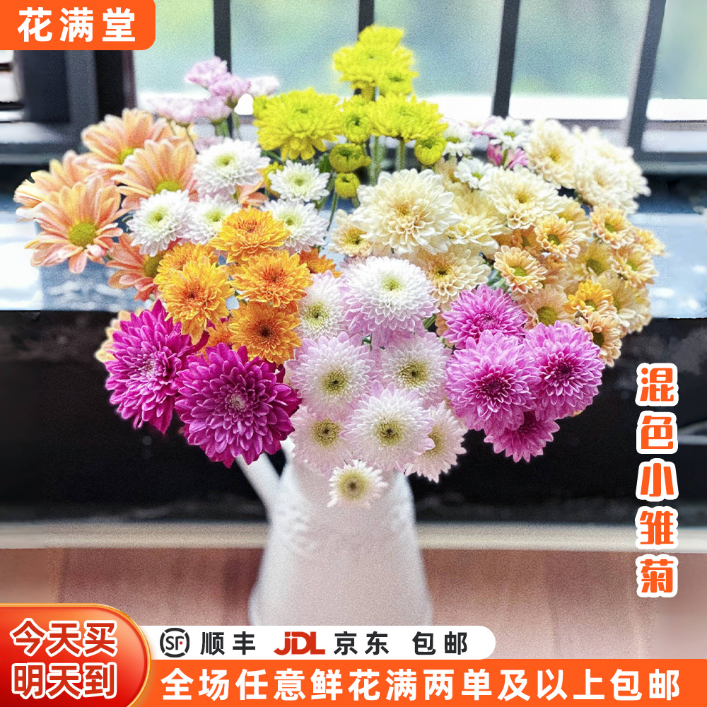 【次日达·混色小雏菊】5支混色小雏菊鲜切花·直发·批发·直播全场两单顺丰包邮·小雏菊次日达