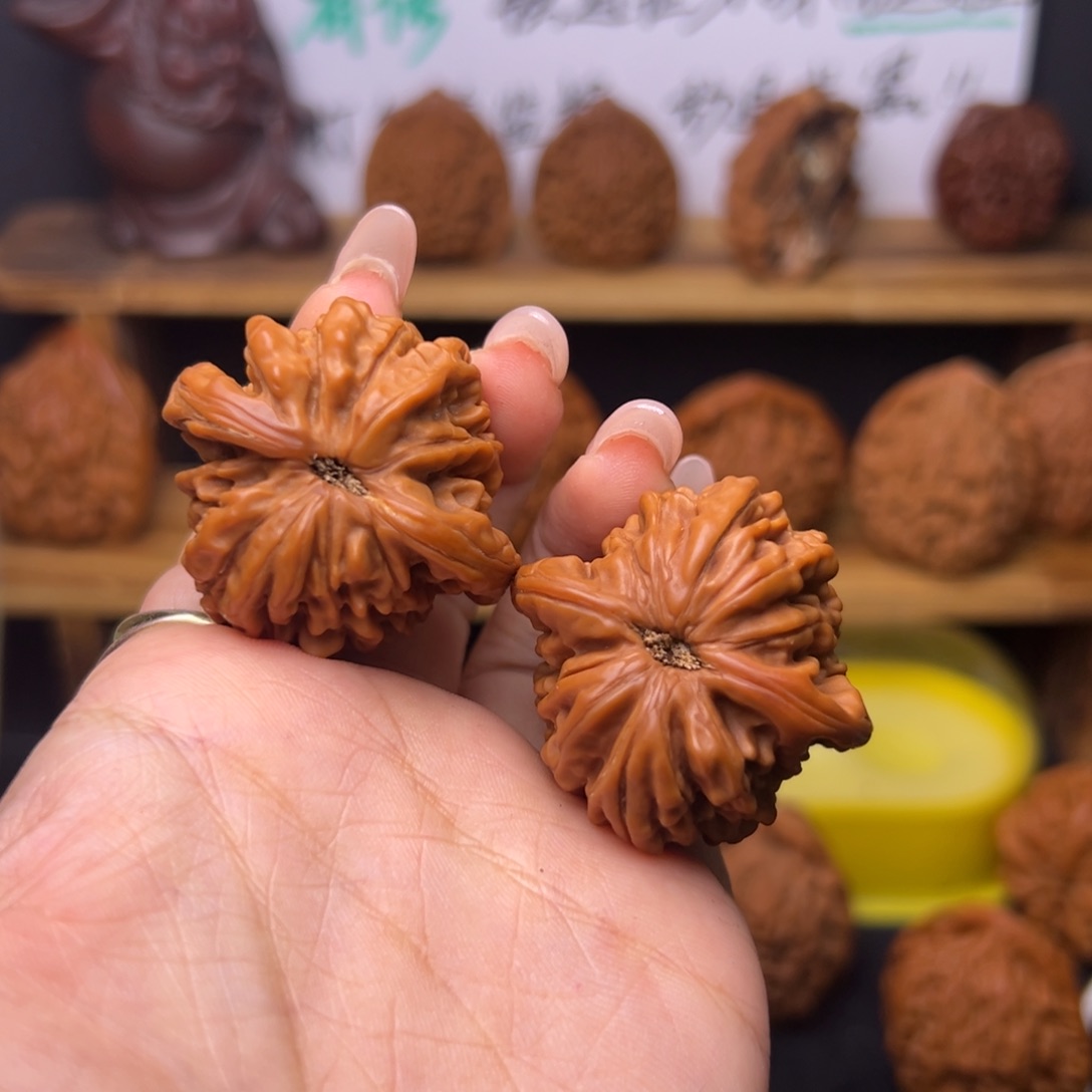 遇***漫把件桃核座四楼福利