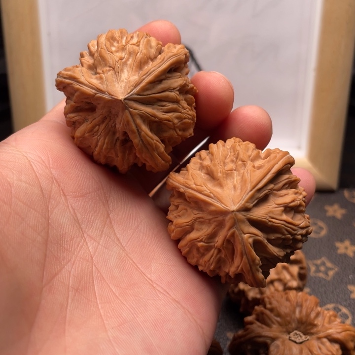 核桃御龙粗筋文玩核桃
