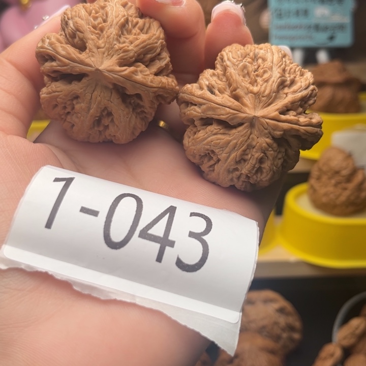 文玩核桃把件45全品粗筋104年