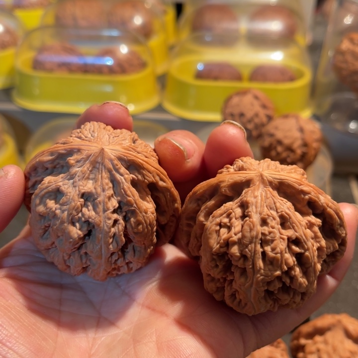 文玩核桃把件大粗筋50