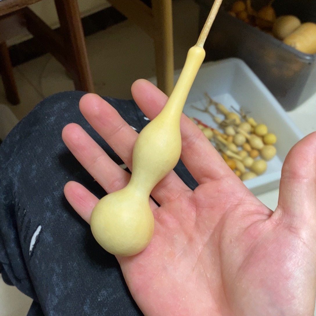 L***N葫芦啊啊啊啊啊啊啊啊啊啊啊啊啊啊