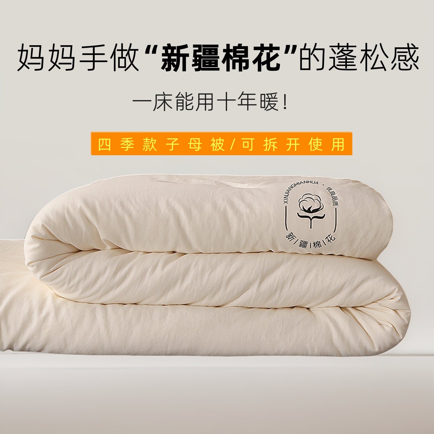 （子母被）拉链款四季可用春夏秋冬四个季节可用冬季保暖被芯夏凉被