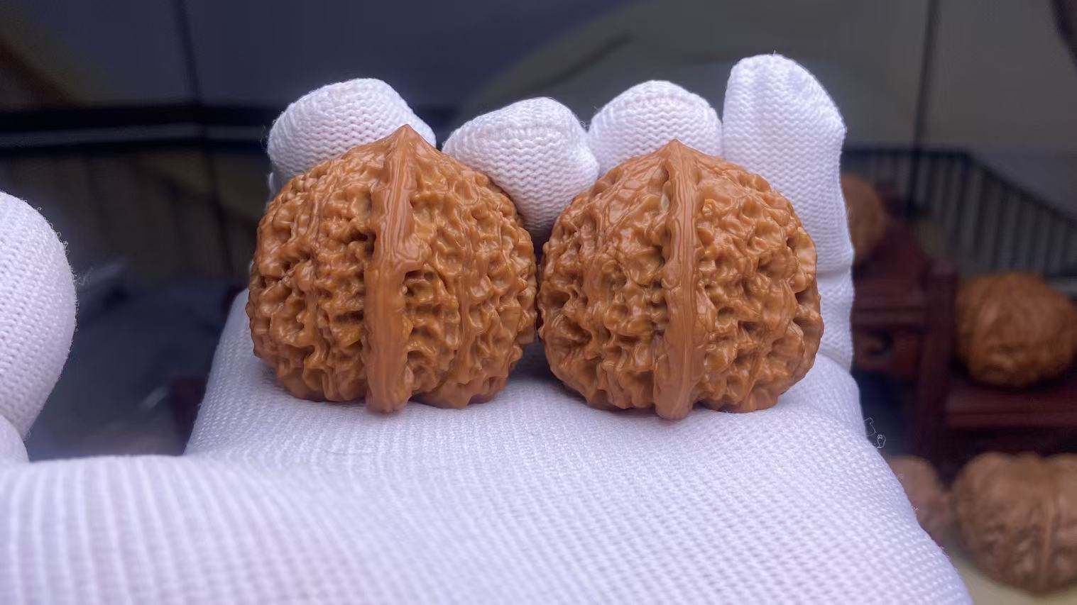 37小尺野生无名小众狮子头