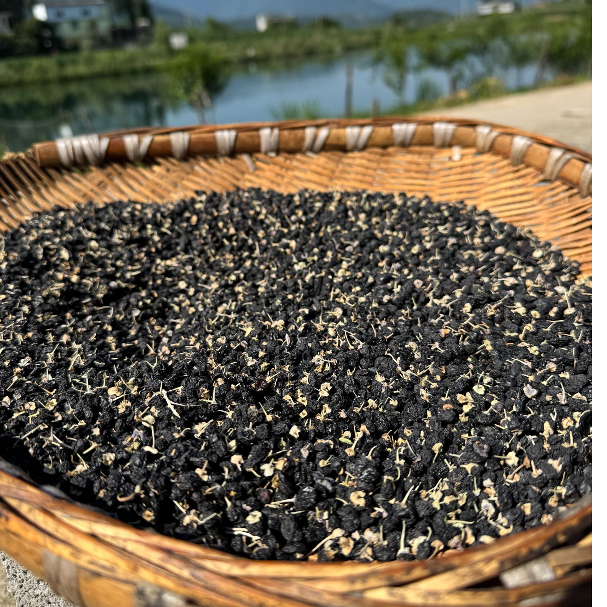 高山正宗 黑枸杞