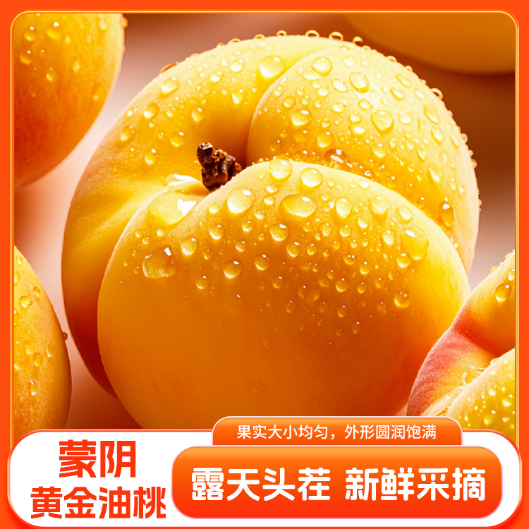 山东蒙阴蜜桃黄金油桃新鲜当季水果脆甜多汁产地直发