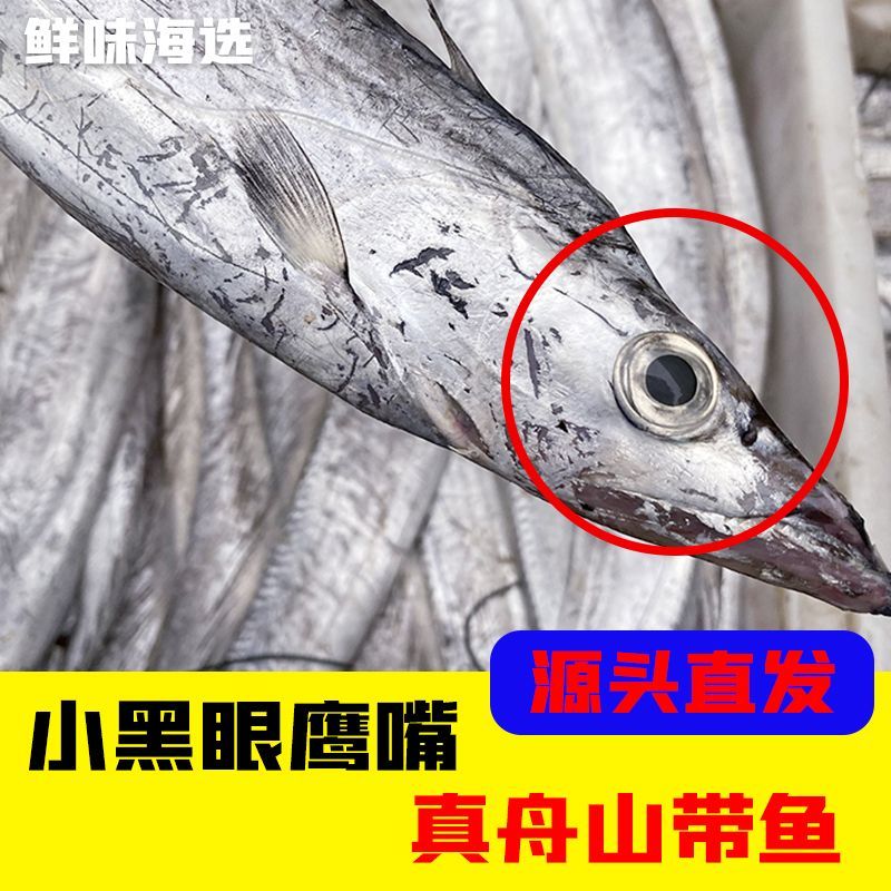 舟山带鱼东海小眼带鱼雷达网整条带鱼新鲜冷冻带鱼无冰衣野生海捕